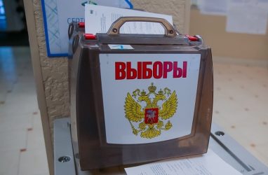 Фейк о выборах распространяют в Приморье