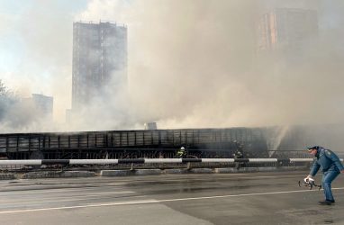 Бизнес, пострадавший от пожара на Некрасовском рынке во Владивостоке, получит поддержку — мэр