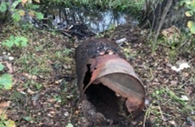 В Приморье подростки нашли останки человека в бочке в лесу