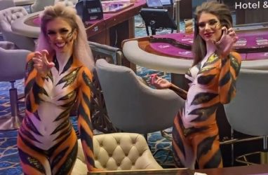 Девушками-«тигрицами» удивило приморское казино в «день рождения»