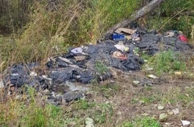 «Жуткий трупный запах»: в Приморье обнаружили свалку останков животных