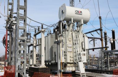 Часть Владивостока обесточило 8 октября из-за сороки