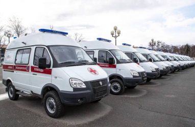 Власти Приморья покупают 85 машин за 81 миллион рублей