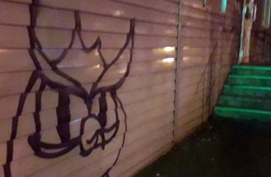 В Приморье вандалы атаковали стенды с работами фотохудожников