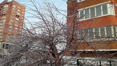 Порно лесозаводск знакомства. Секс видео лесозаводск знакомства онлайн