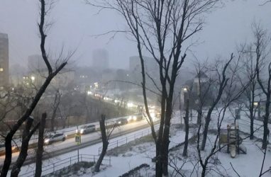 Снегопад накрыл Владивосток с самого утра