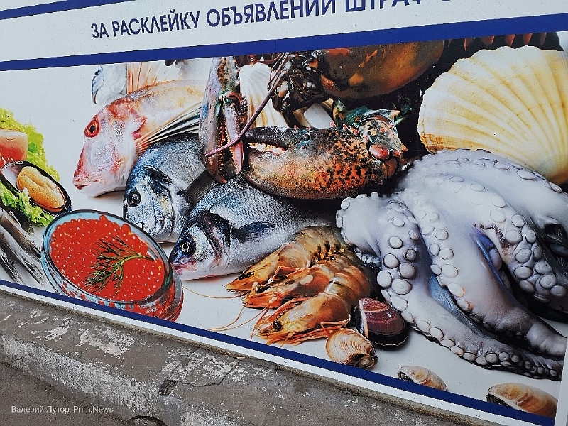 В Приморье из Китая не пустили свыше 26 тонн подозрительных колец кальмара