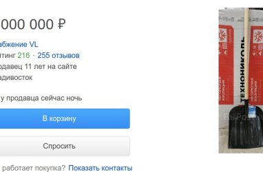 Лопату за восемь миллионов рублей продают в Приморье