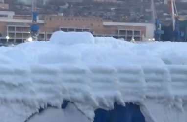«Комплектация ultra snow»: во Владивосток доставили машины, покрытые ледяной коркой