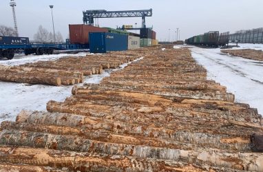 Таможенники не дали вывезти из Приморья в Китай почти 350 тыс. кубометров лесоматериалов