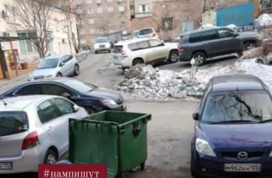 Во Владивостоке мусорный контейнер сдуло на машины
