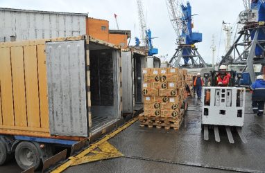 В Приморье из Китая 15 тонн консервированного тунца ввезли с нарушением