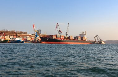 Владивостокский морской рыбный порт в 2021 году нарастил перевалку
