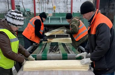 Производство шпона наладили на новом предприятии в Приморье