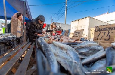 Россельхознадзор изъял в Приморье партию опасных селёдочных пресервов