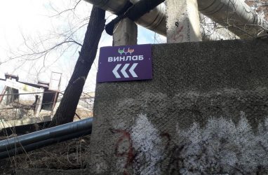 «Винлаб» в Приморье могут оштрафовать до 500 тысяч рублей за ненадлежащую рекламу