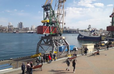 Порт Владивосток в январе-марте 2022 года нарастил перевалку на 8,6%