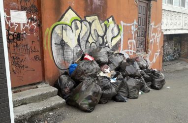 Власти Владивостока купили 163800 мешков для мусора за 1,3 млн рублей