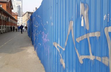 В Приморье собачники выламывают ограждение стройплощадки школы