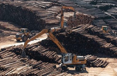 Продукцию «Вологодских лесопромышленников» впервые отправили в Китай через Владивосток