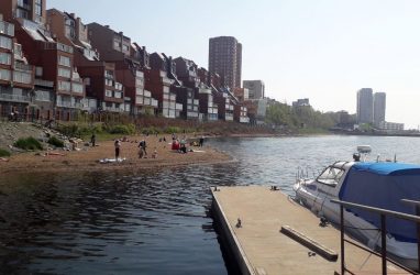 Учёный Орлова назвала причину появления тёмной слизи у берегов Владивостока