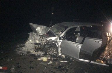 Страшное ДТП произошло в Приморье: погибли двое детей и двое взрослых