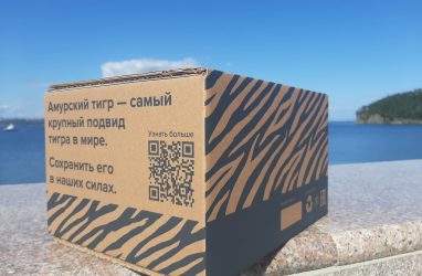 Амурским тиграм посвятили серию упаковочных коробок