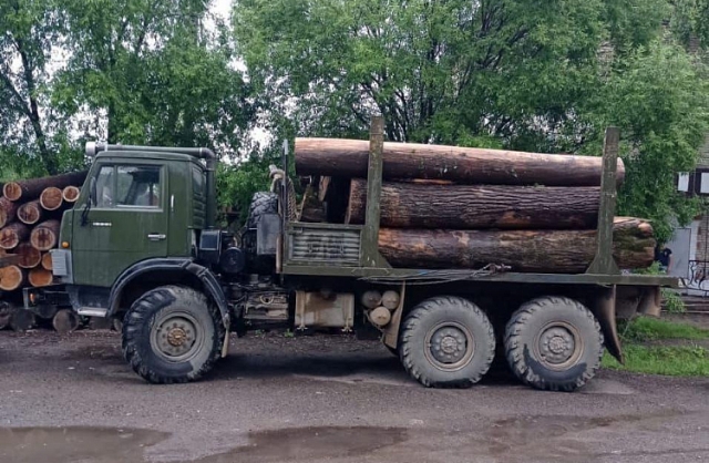 Ущерб 12 млн рублей: «чëрных лесорубов» поймали в Приморье