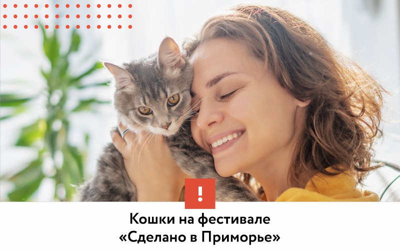 Для любителей кошек во Владивостоке проведут интересное мероприятие