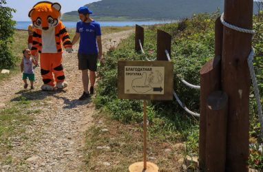 На «Тропе тигров» в Приморье будут использовать пластиковый понтон