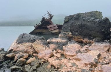 Побережье российского острова затянуло рыбьим жиром