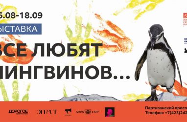Творчество пингвинов покажут на художественной выставке во Владивостоке (0+)