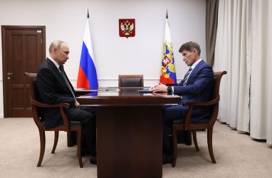 Путин принял предложения губернатора Приморья Кожемяко по поводу реформ лесной отрасли