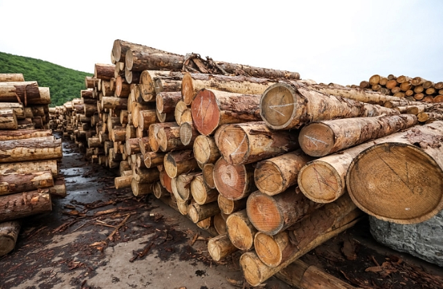 Экспорт древесины из Приморья значительно упростили