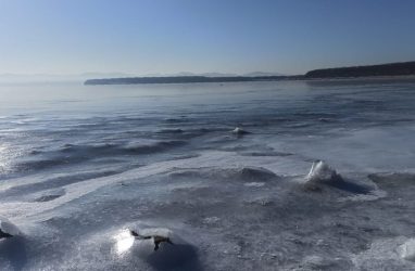 «Там уже вон дядька провалился один»: во Владивостоке рыбаки выходят на неокрепший лёд