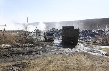 Едкий дым от тлеющего мусорного полигона распространился на жилые массивы приморской Находки