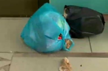 «Высыпать на голову!»: жители Владивостока возмущены теми, кто оставляет мусор в подъездах