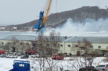 Крупный пожар потушили в Приморье на рыбозаводе