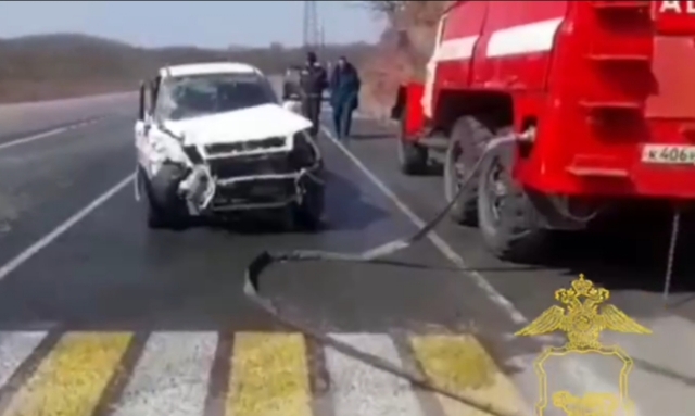 В Приморье водитель, устроив тяжёлое ДТП, убежал в лес — видео