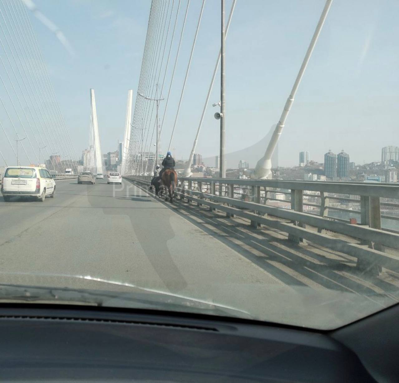мосты владивостока 2023 фото