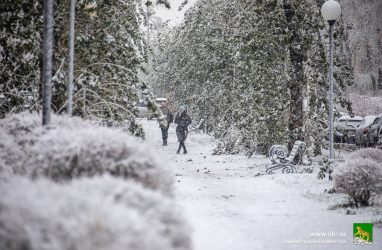 Штормовое предупреждение объявили в Приморье. Ожидается очень сильный снег