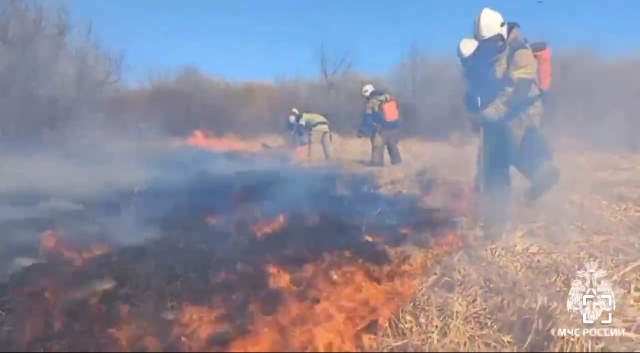 Работу огнеборцев МЧС России на природном пожаре записали на видео
