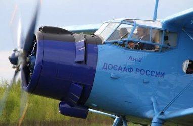 Сотрудники аэроклуба в Приморье обратились к Путину с просьбой не закрывать его