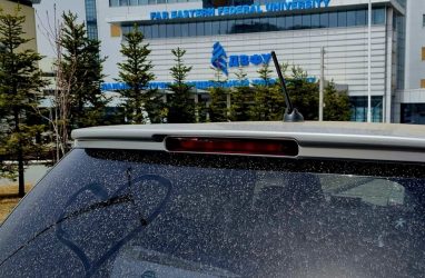 Заведующая лабораторией ДВФУ и глава Примгидромета прокомментировали пылевой дождь во Владивостоке