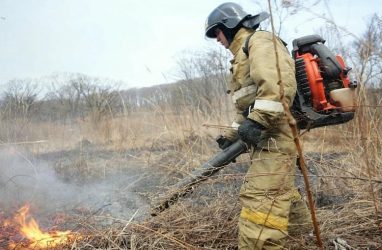 В Приморье ловят поджигателей леса и сухой травы, им грозят штрафы до 800 тысяч рублей