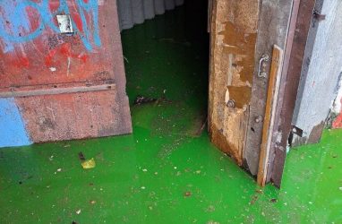 Водой ядовито-зелёного цвета залило подвал одного из домов в Приморье