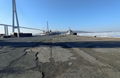 Во Владивостоке портовые объекты на полуострове Назимова продали за 3,5 млрд рублей