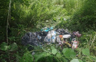 Жители таёжного села Тигровой в Приморье пожаловались на невывоз мусора