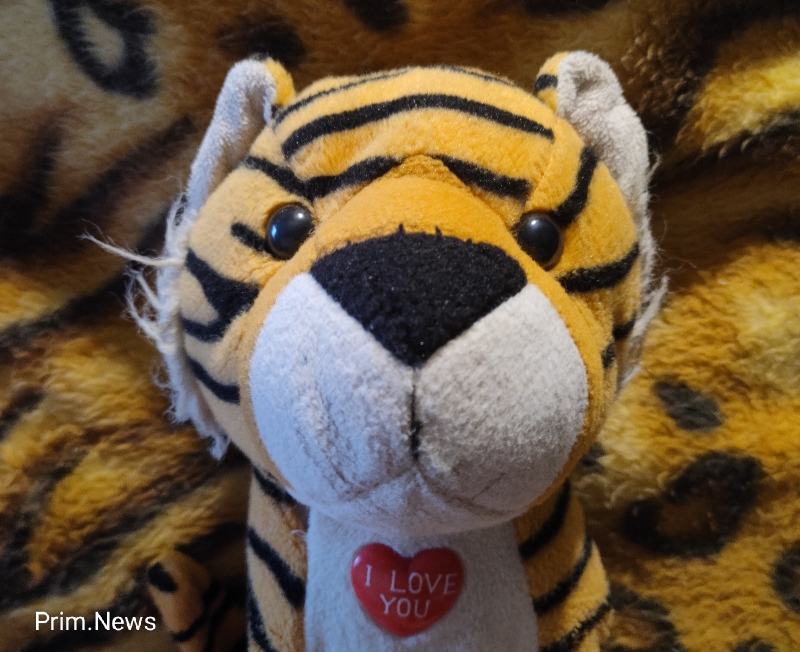 Как вести себя при встрече с тигром? Приморцам напомнили важную информацию