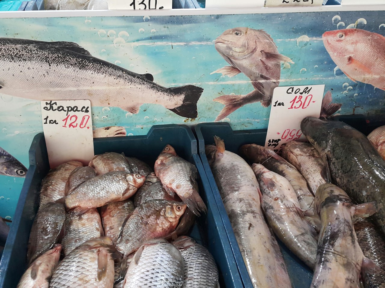 Обзор: сколько стоит пресноводная рыба во Владивостоке